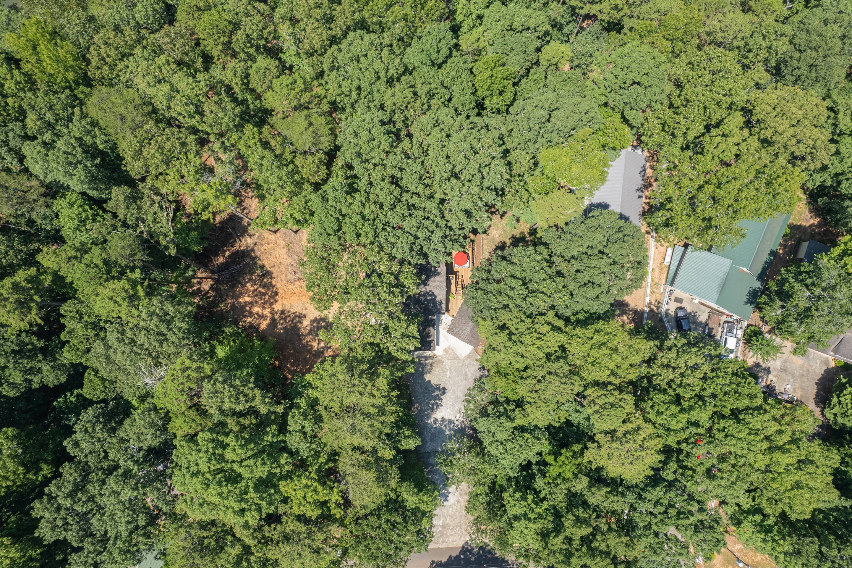 396 Cardinal Lane Toccoa, GA 30577 - Photo 103 of 103 an aerial view of residential house with outdoor space and trees all around