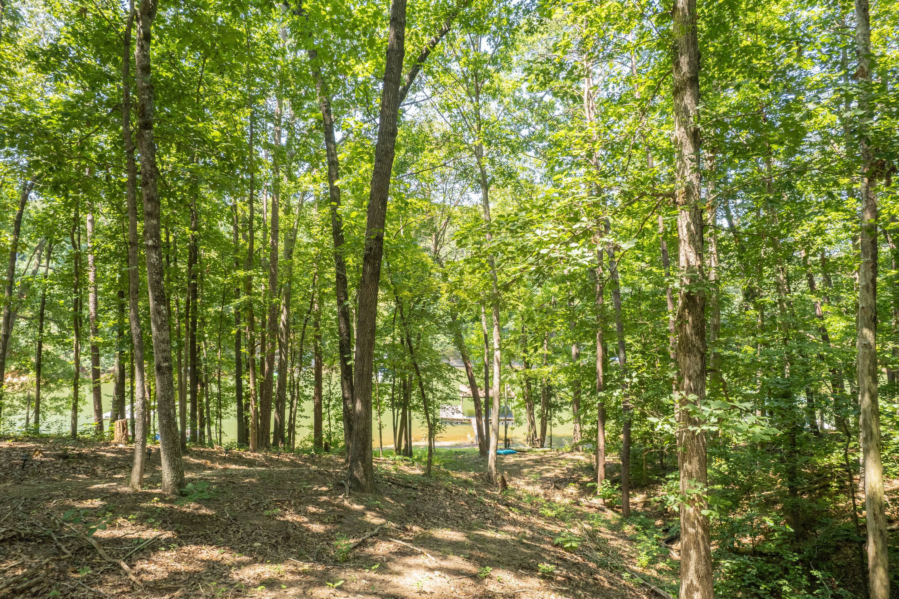 396 Cardinal Lane Toccoa, GA 30577 - Photo 77 of 103 a view of yard