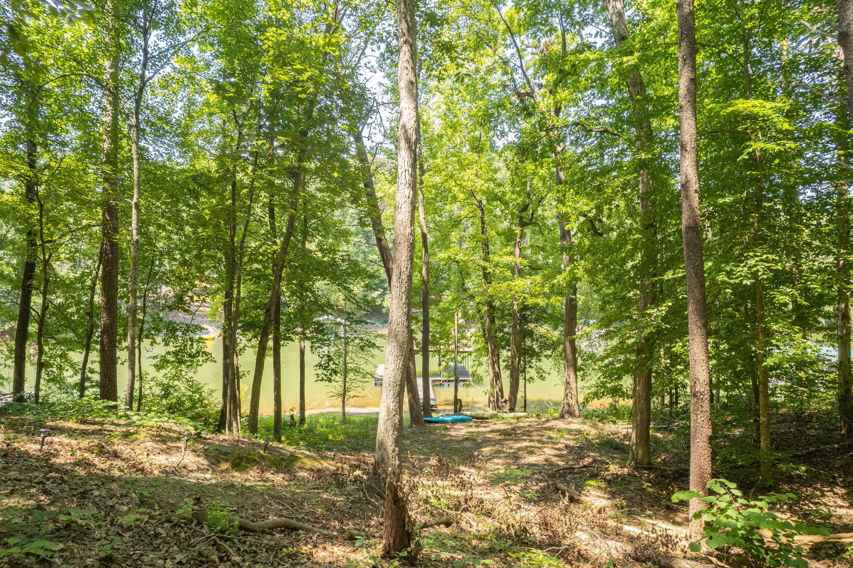 396 Cardinal Lane Toccoa, GA 30577 - Photo 78 of 103 a view of a yard with plants and trees
