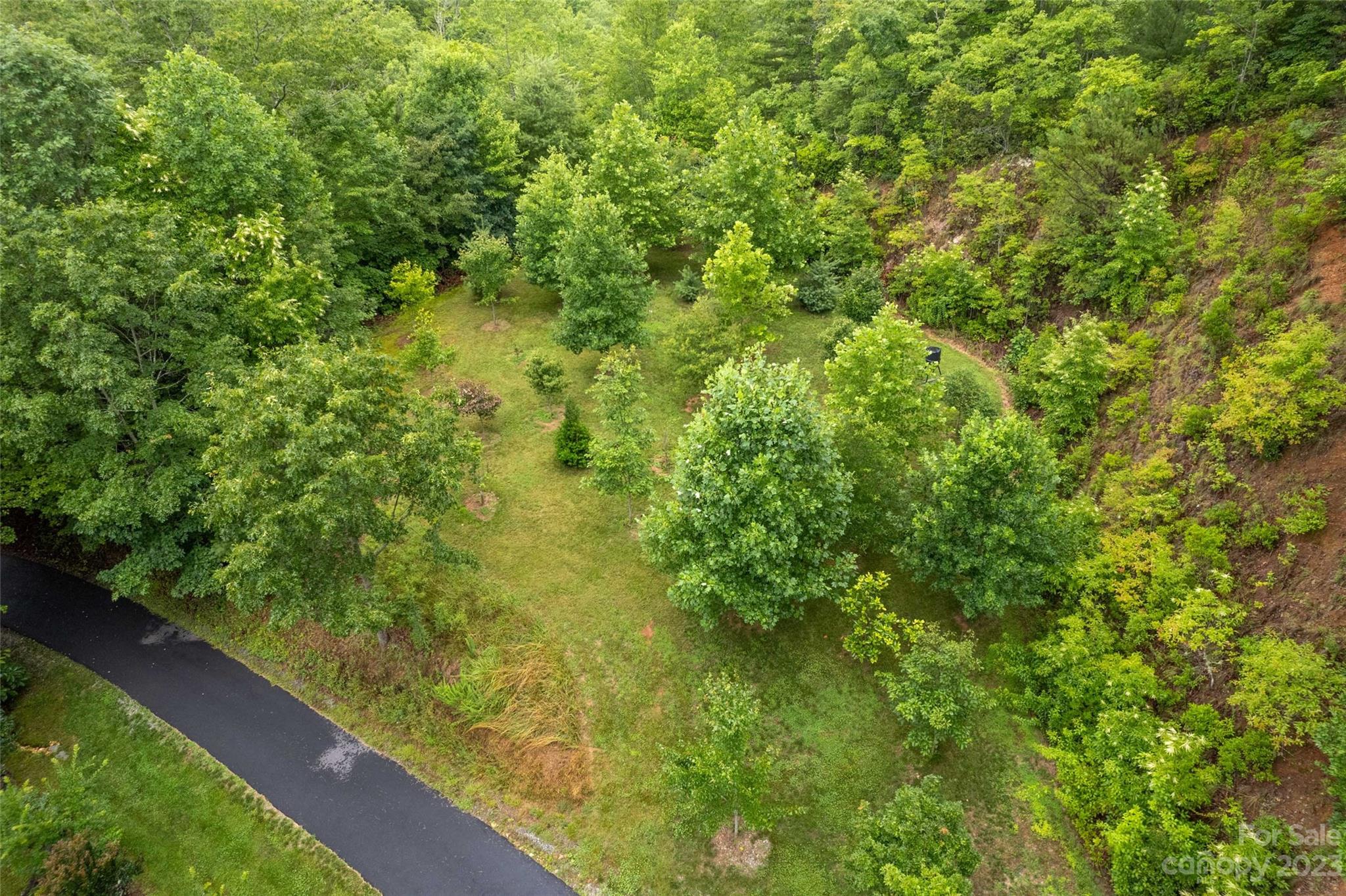 90 Raccoon Ridge Road Almond, NC 28702 - Photo 13 of 46 Gallery Image 13