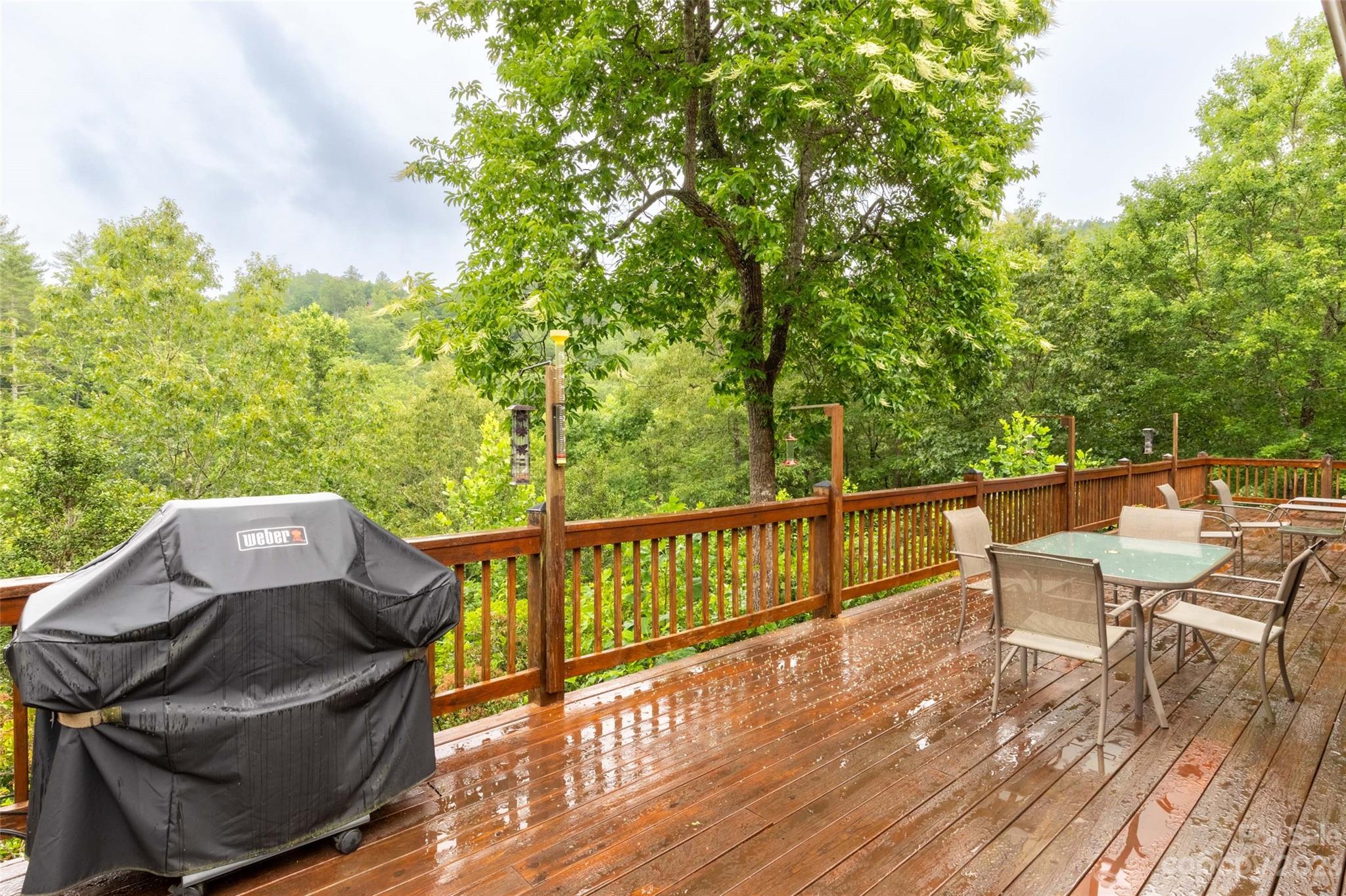 90 Raccoon Ridge Road Almond, NC 28702 - Photo 45 of 46 Gallery Image 45