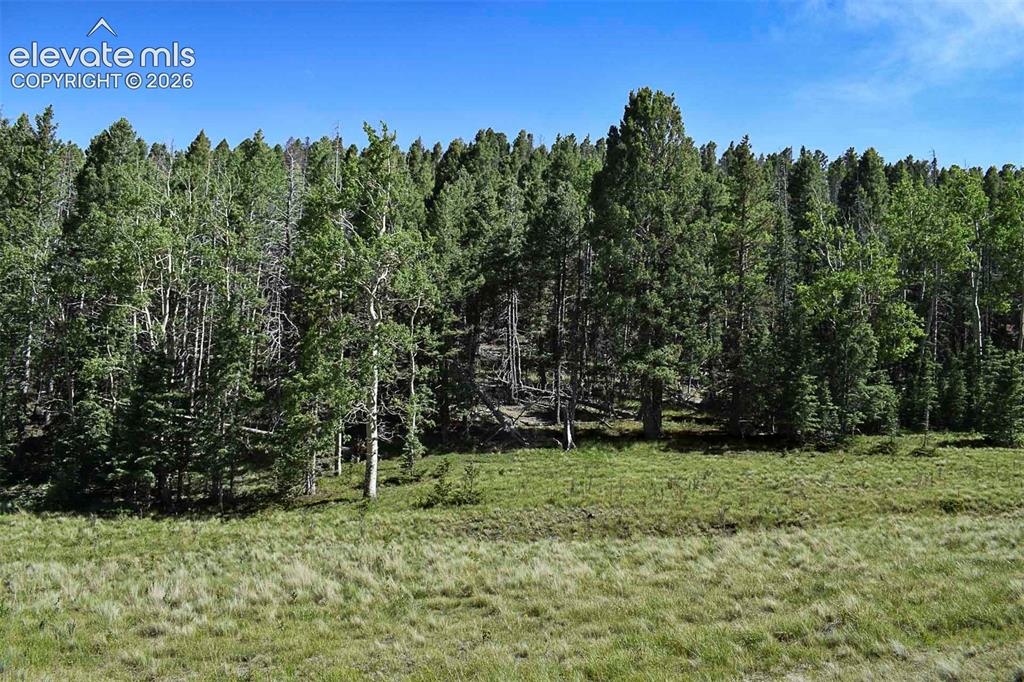 0 Bear Cat Road Guffey, CO 80820 - Photo 14 of 40