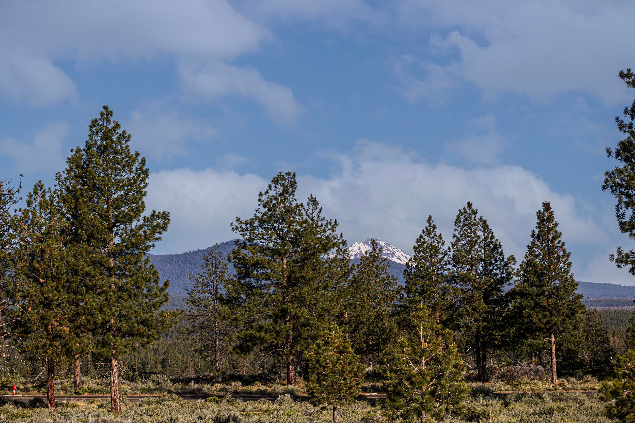 62470 Huntsman Loop Bend Bend, OR 97703 - Photo 9 of 12 sister