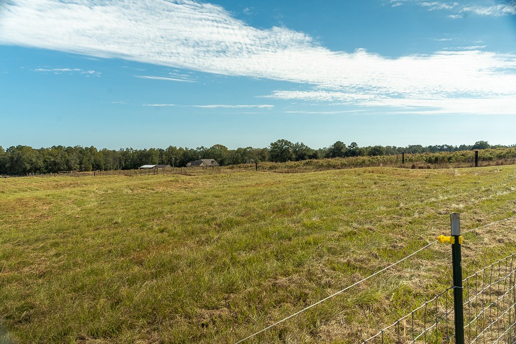 0 J B J B Jackson Road Webb, AL 36376 - Photo 9 of 38