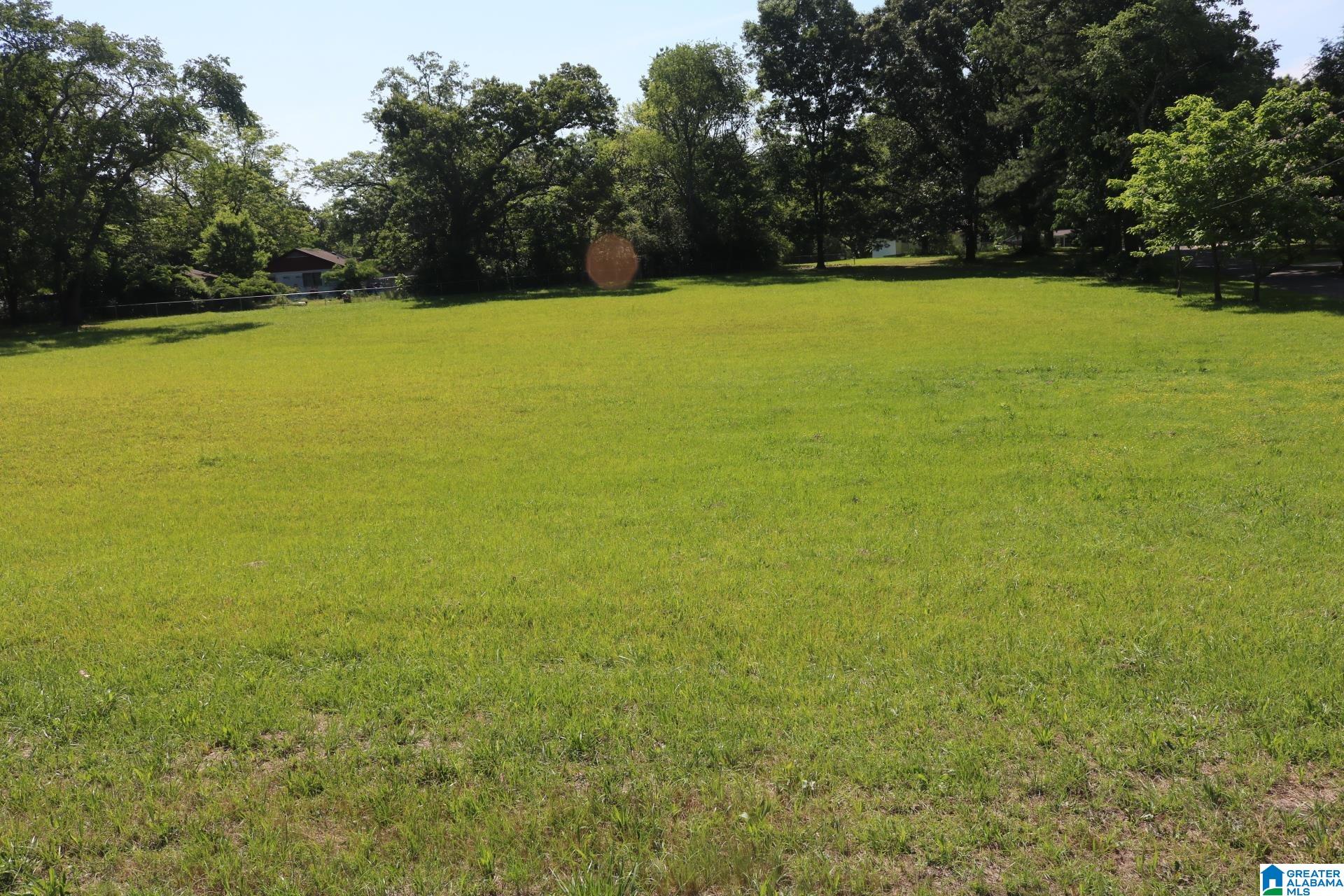 5064 Birmingport Road Mulga, AL 35118 - Photo 3 of 6