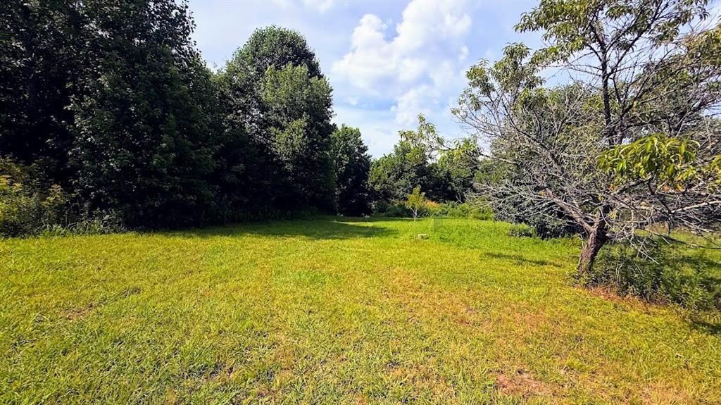 380 Nix Road Bremen, GA 30110 - Photo 3 of 14