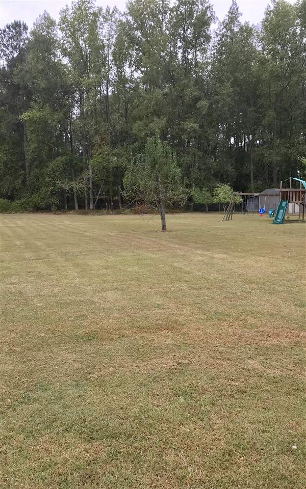 6469 Applewhite Road Wendell, NC 27591 - Photo 16 of 18 Photo 16