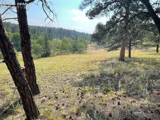 Tbd Tbd Valley Road Florissant, CO 80816 - Photo 5 of 10