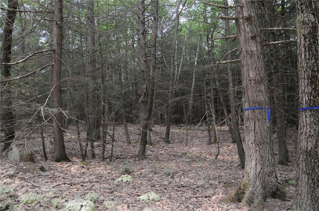 323 Cheney Woods Road Wells, ME 04090 - Photo 2 of 13 Photo