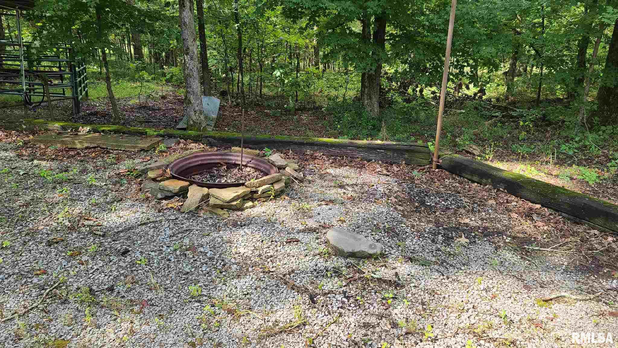 0 Gaskin Mine Road Herod, IL 62947 - Photo 2 of 21