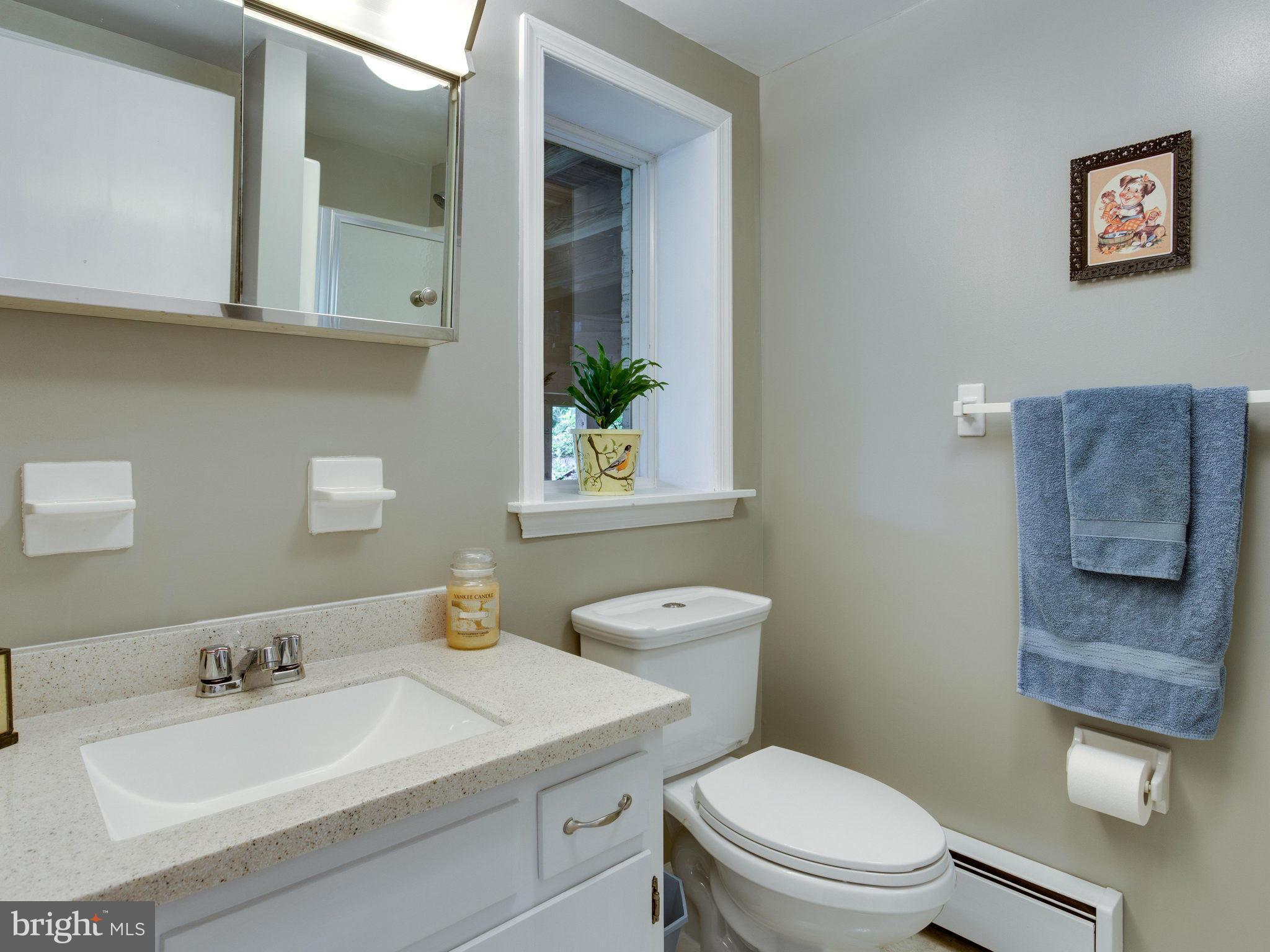 5810 Ridge Road Mount Airy, MD 21771 - Photo 23 of 30 Full Bath in Lower Level too!