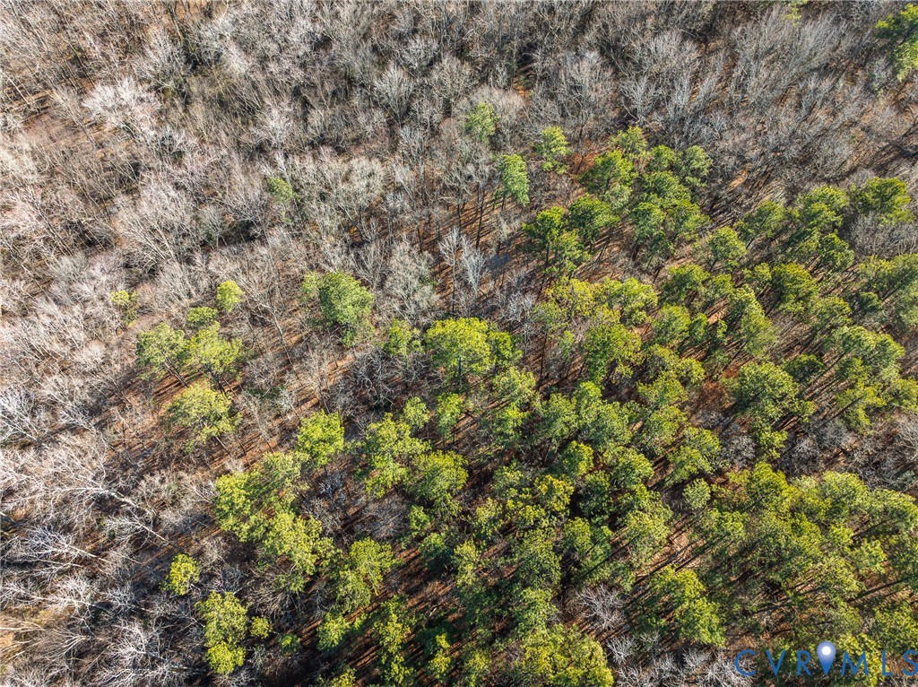 20905 Matoaca Road Petersburg, VA 23803 - Photo 5 of 5