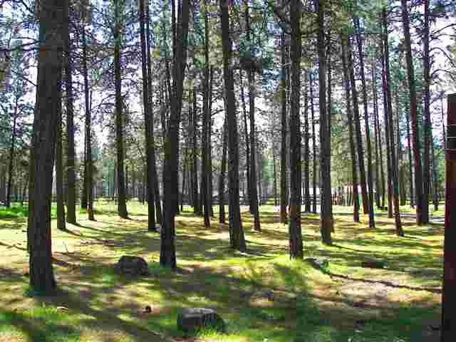 7210 West Melville Road Cheney, WA 99004 - Photo 9 of 9