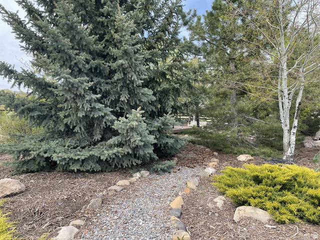 7030 West 2100 North Mendon, UT 84325 - Photo 8 of 67 Mature landscaping featuring a large evergreen tree, a gravel path with natural stone borders, and varied ground cover plantings