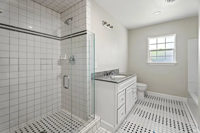 a bathroom with a sink a toilet a shower and a mirror