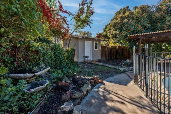 a view of backyard with plants and trees