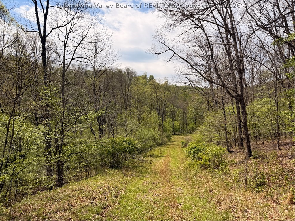 0 Cochran Road Thornton, WV 26440 - Photo 3 of 4 Gallery Image 3