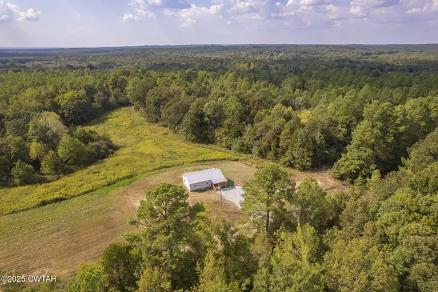 a view of a lake with a mountain in the background