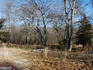 132 Pierson Road Woodstown, NJ 08098 - Photo 4 of 4