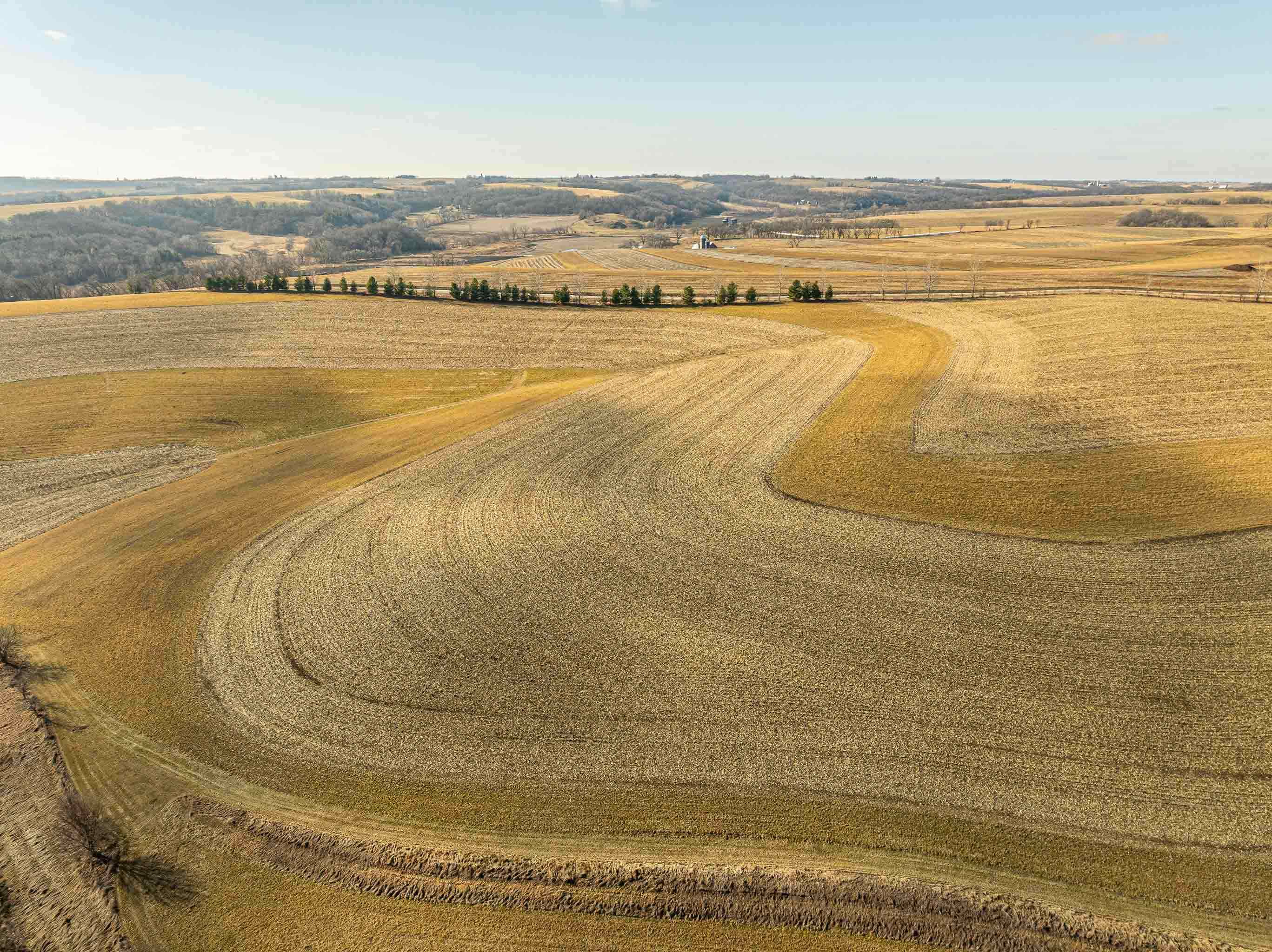 Lot 6 11.5 Acres Hefty Monticello, WI 53570 - Photo 11 of 19