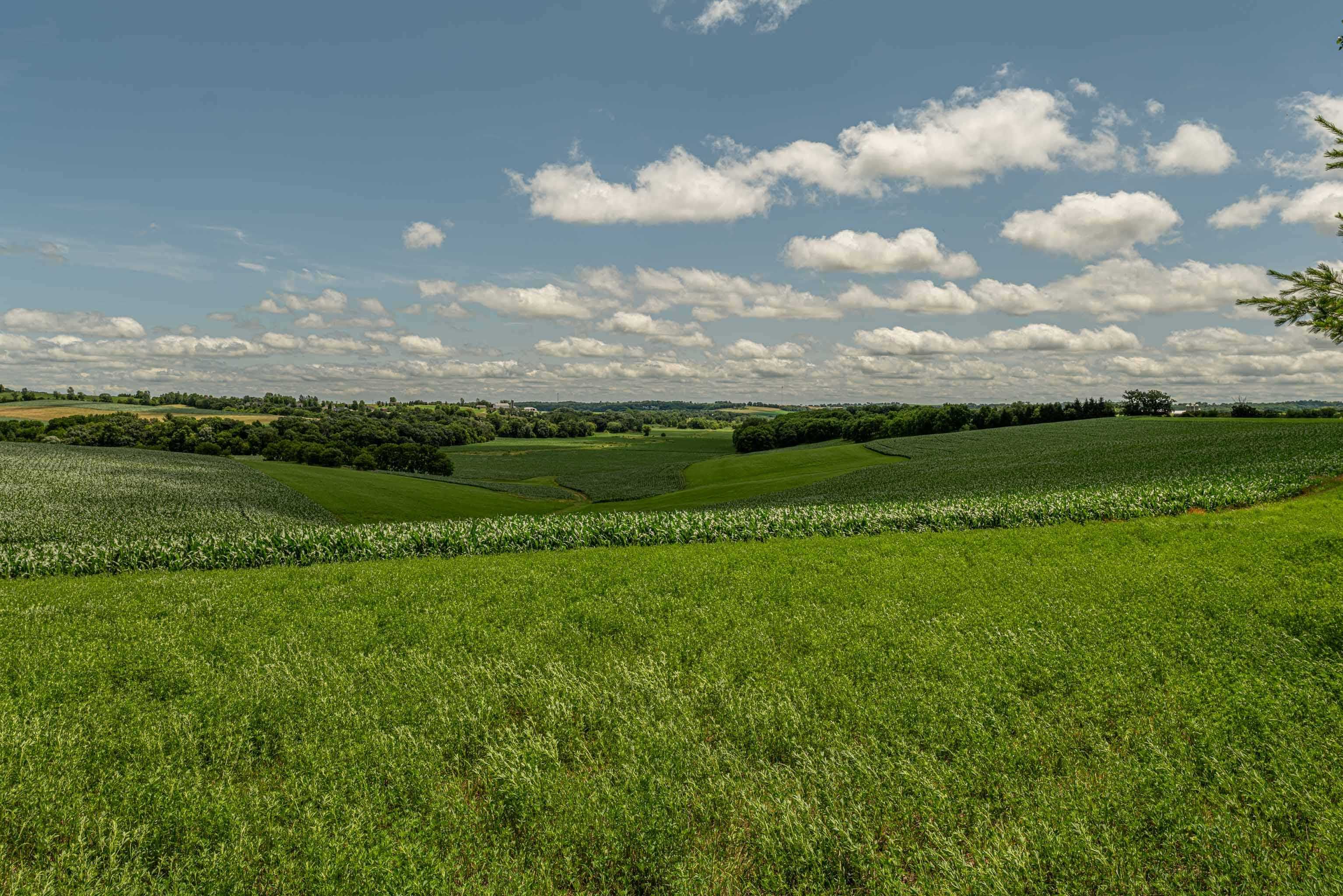 Lot 6 11.5 Acres Hefty Monticello, WI 53570 - Photo 13 of 19