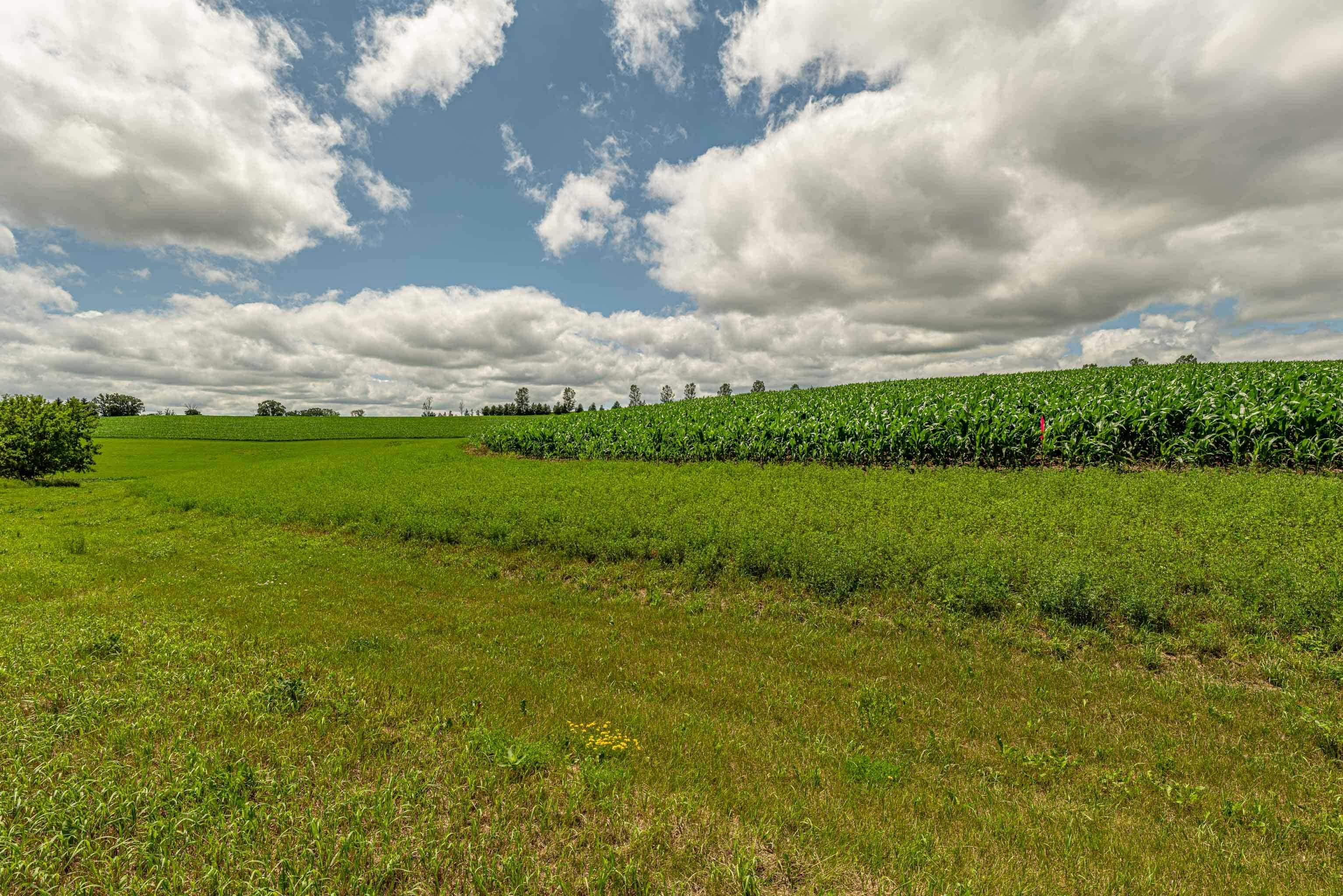 Lot 6 11.5 Acres Hefty Monticello, WI 53570 - Photo 15 of 19