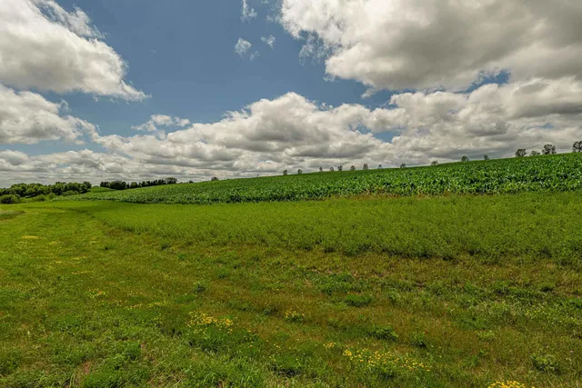 $309,900 | Lot 6 11.5 Acres Hefty, Monticello, WI 53570