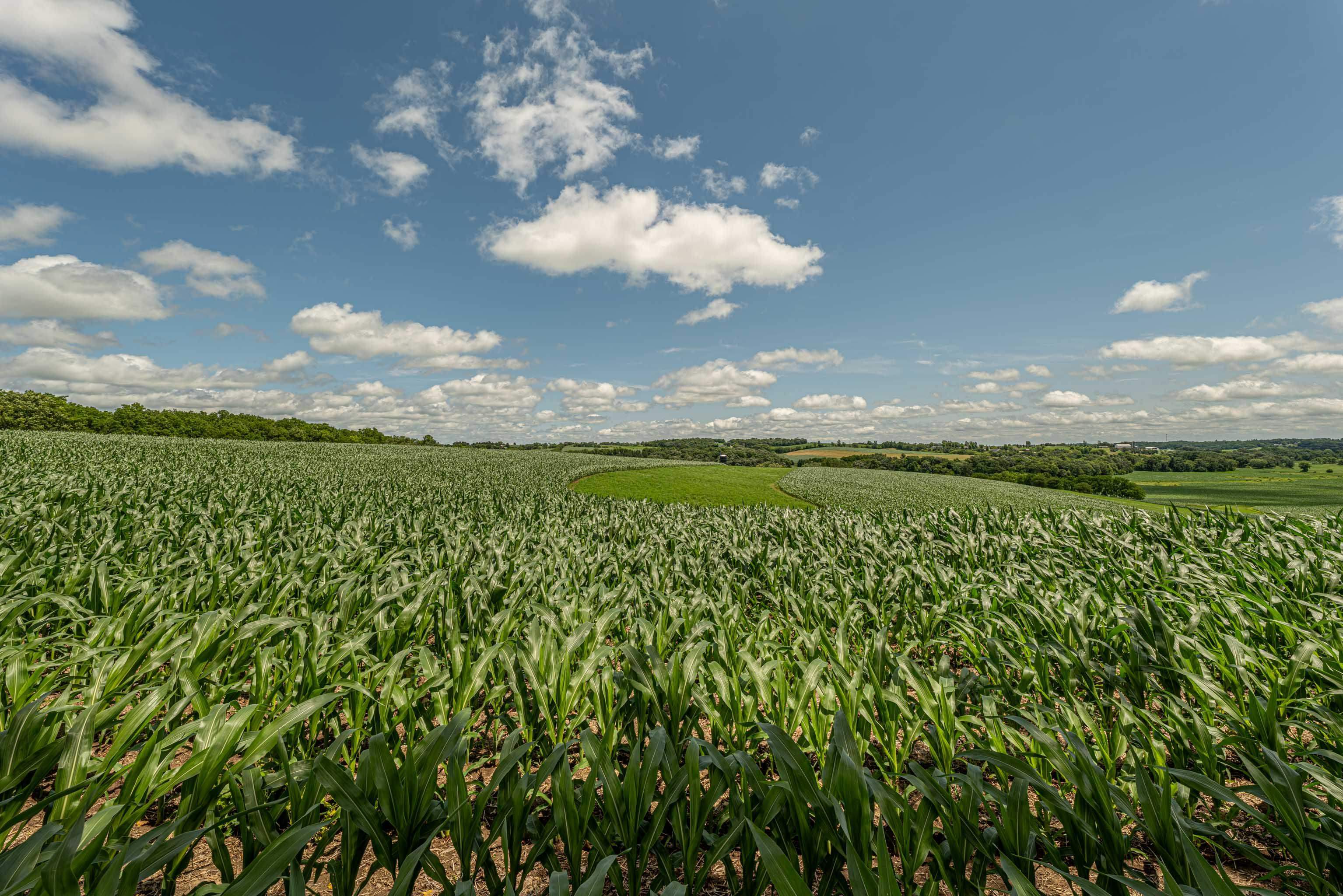 Lot 6 11.5 Acres Hefty Monticello, WI 53570 - Photo 7 of 19