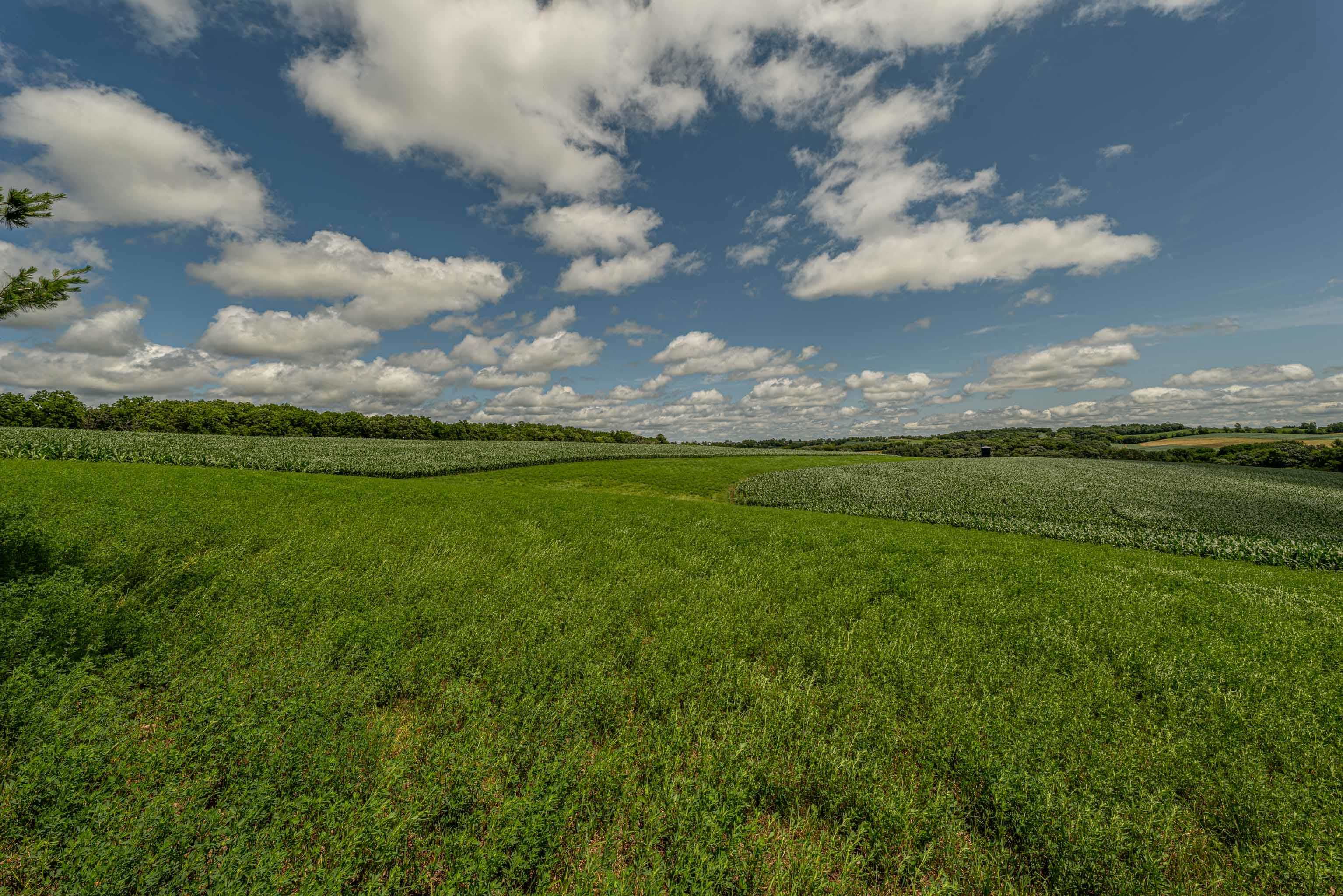 Lot 6 11.5 Acres Hefty Monticello, WI 53570 - Photo 8 of 19