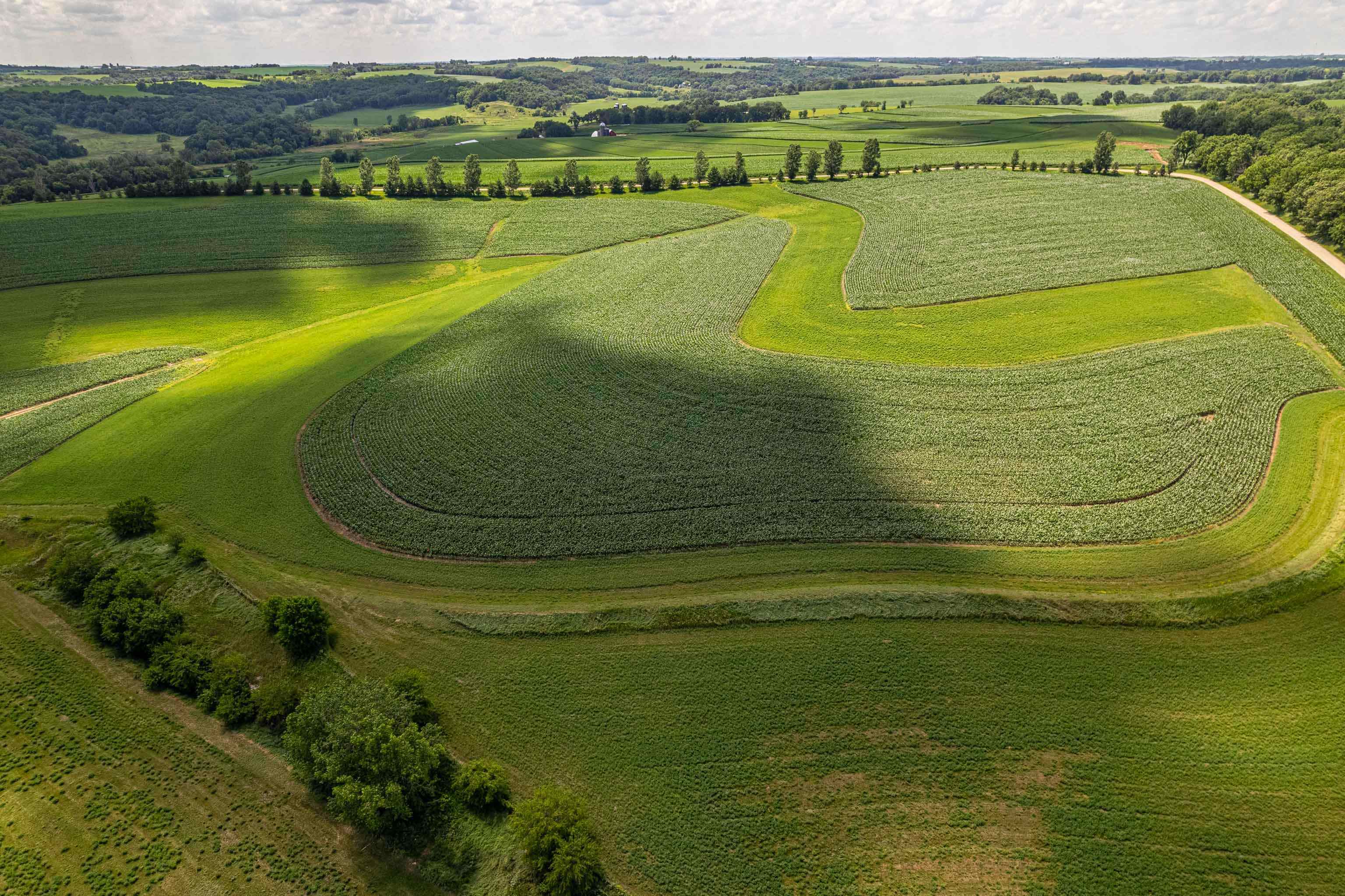 Lot 6 11.5 Acres Hefty Monticello, WI 53570 - Photo 10 of 19