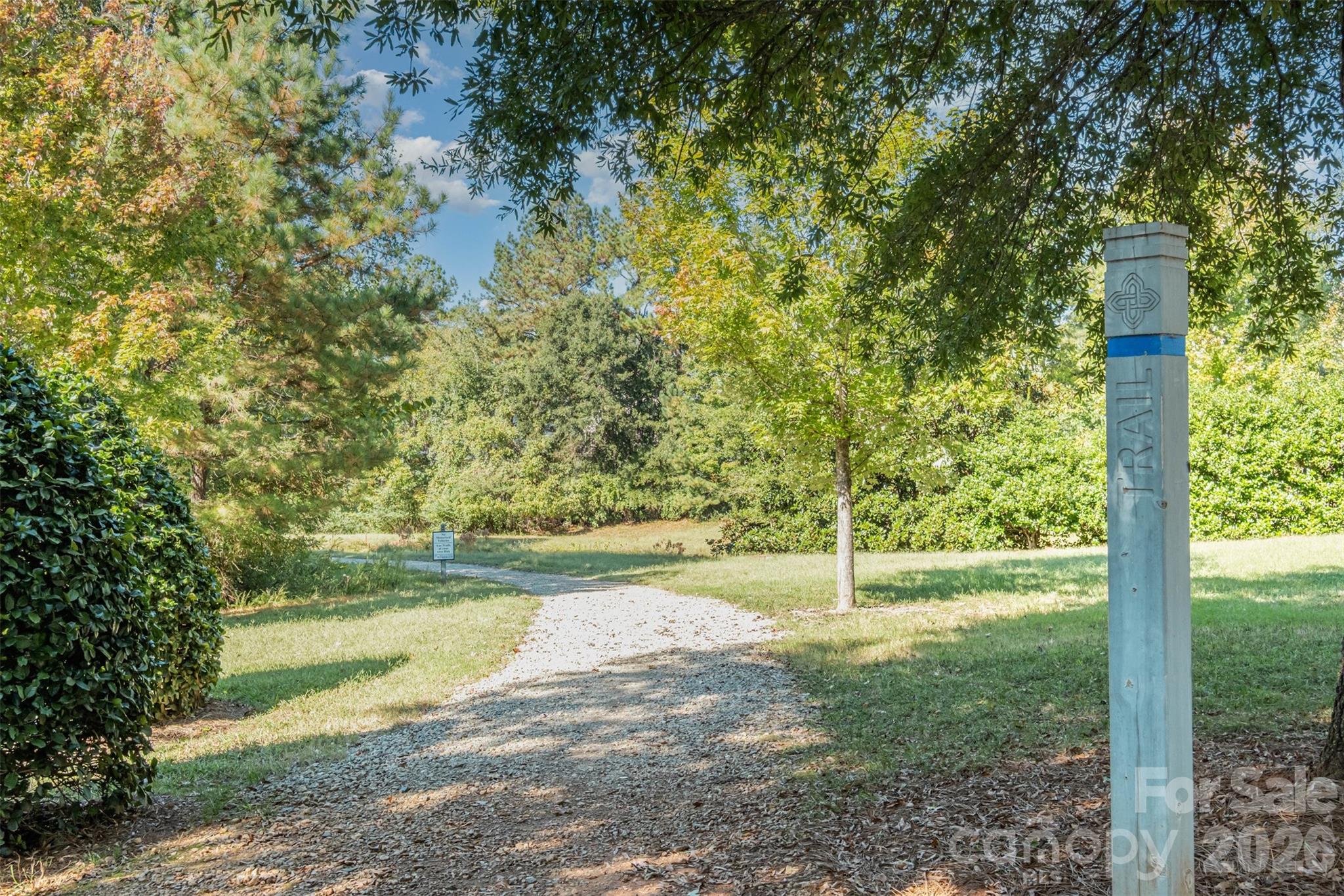 9213 Seamill Road Charlotte, NC 28278 - Photo 33 of 33 a view of a yard with a tree