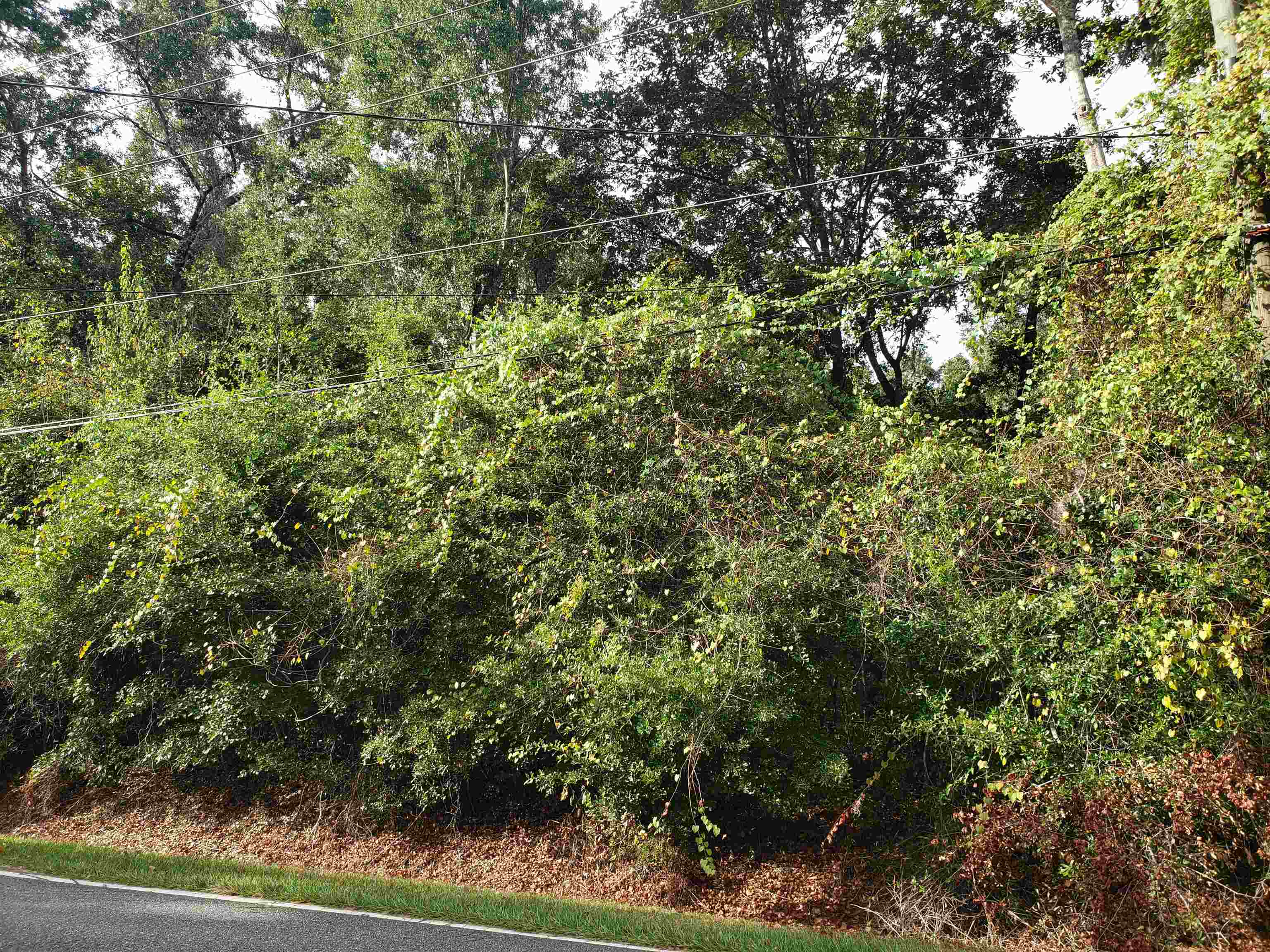 0 Lonnie Road Tallahassee, FL 32308 - Photo 2 of 10