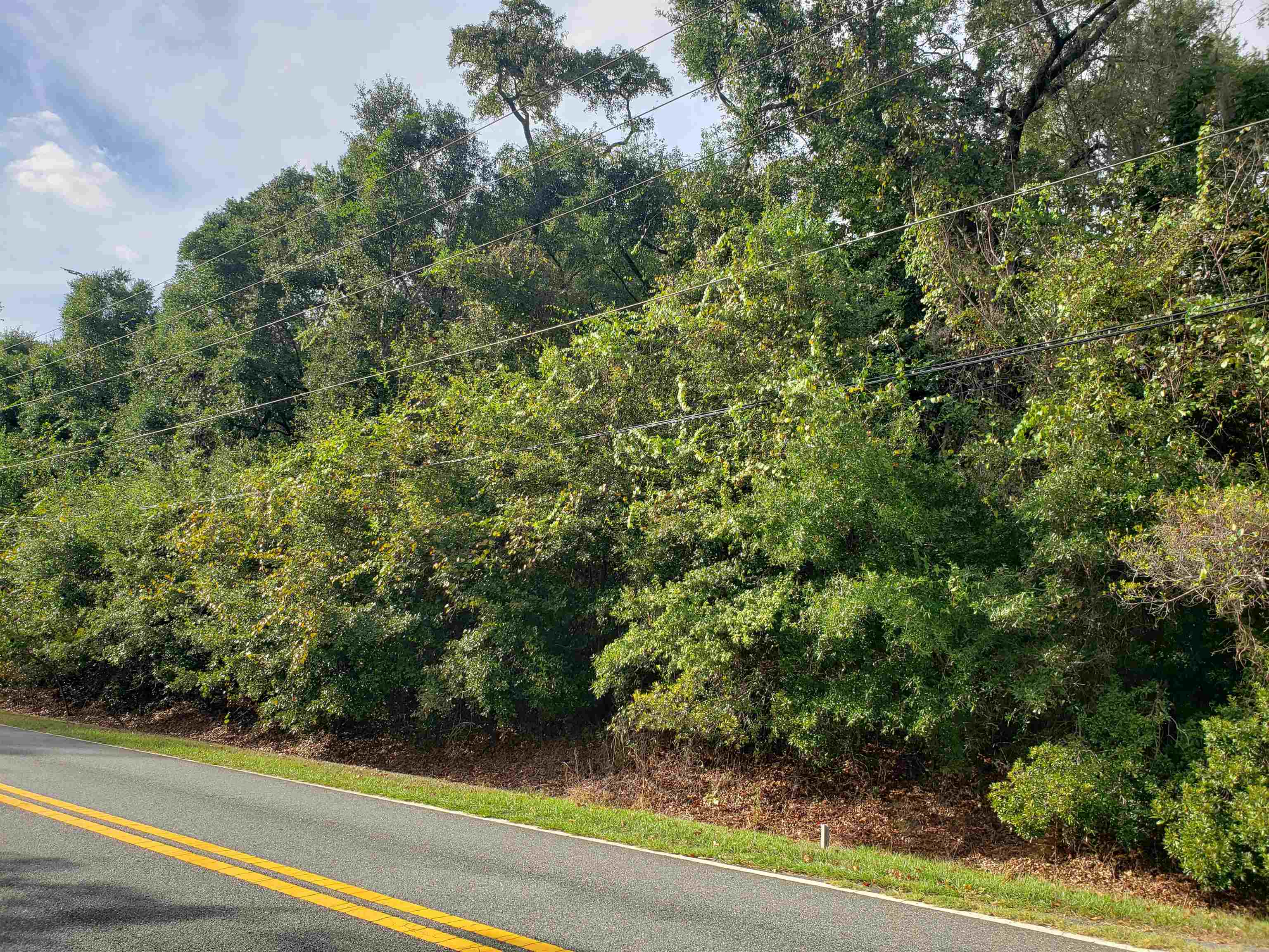 0 Lonnie Road Tallahassee, FL 32308 - Photo 3 of 10