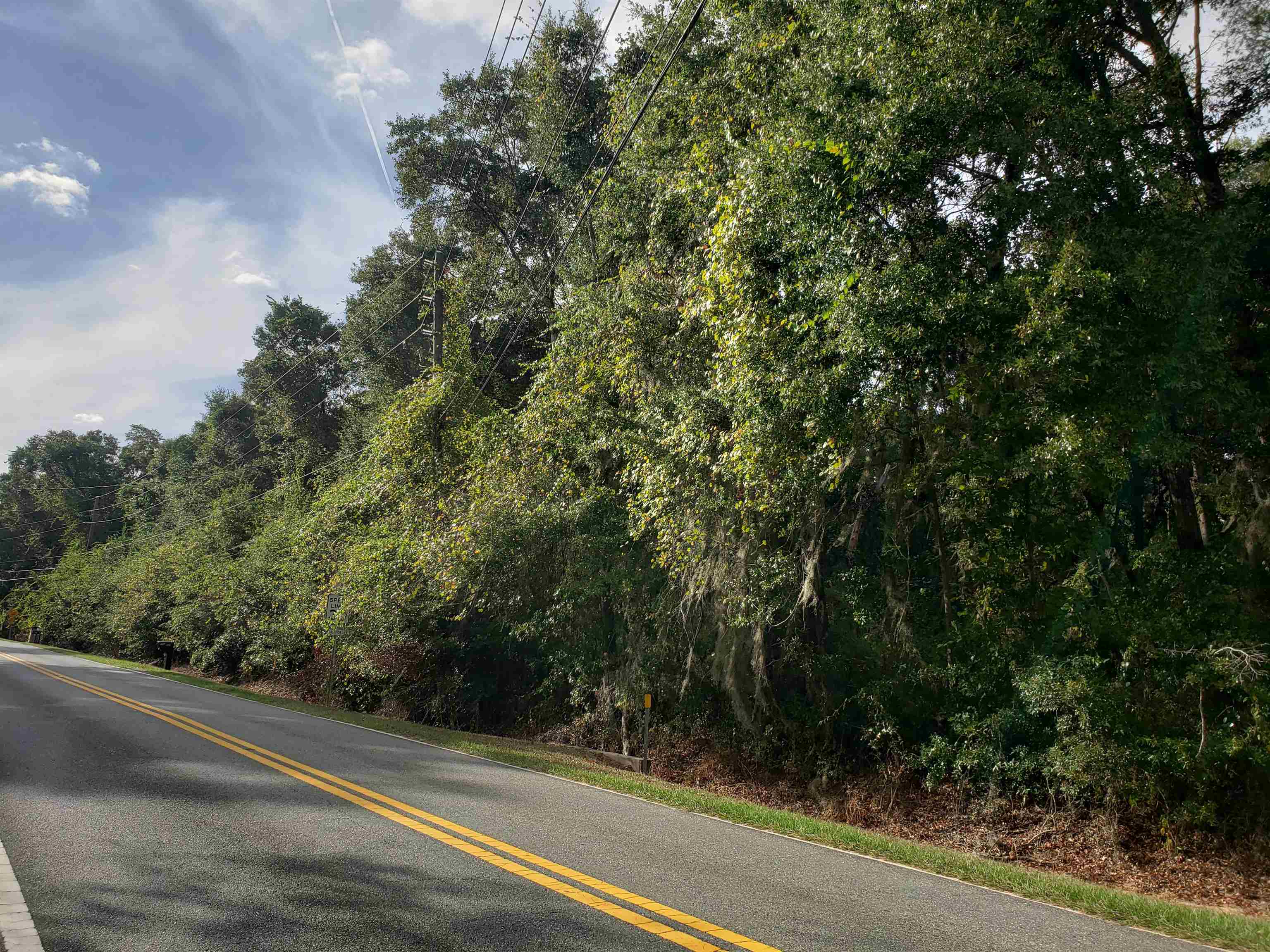 0 Lonnie Road Tallahassee, FL 32308 - Photo 5 of 10