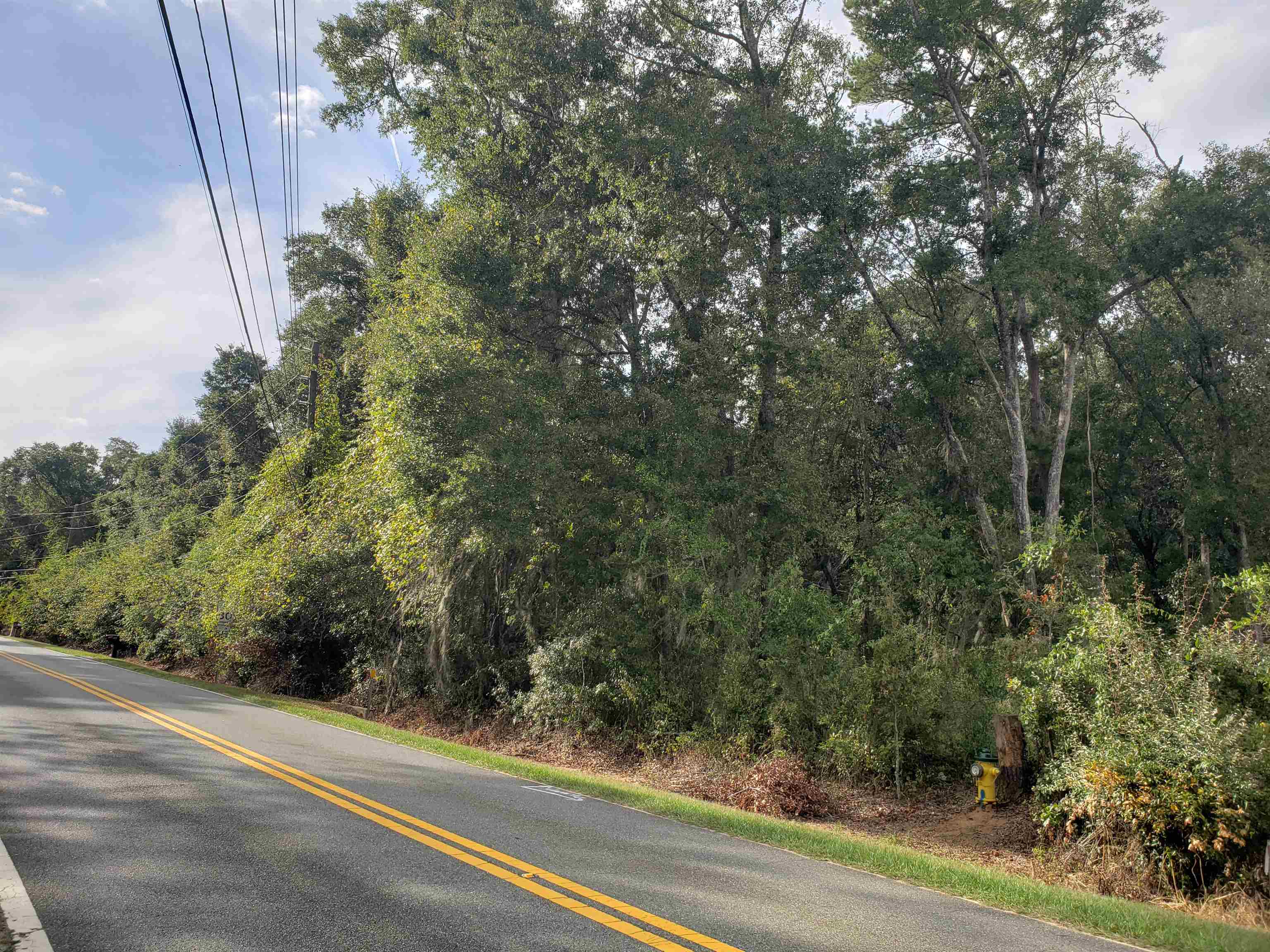 0 Lonnie Road Tallahassee, FL 32308 - Photo 6 of 10