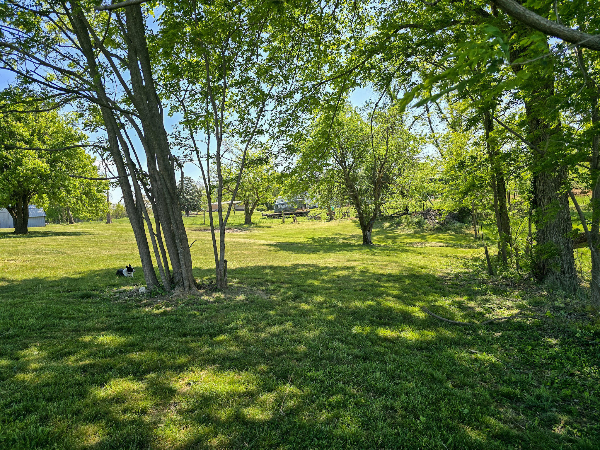 3014 Poplar Hill Road Liberty, KY 42539 - Photo 60 of 61 60-20260422_114350
