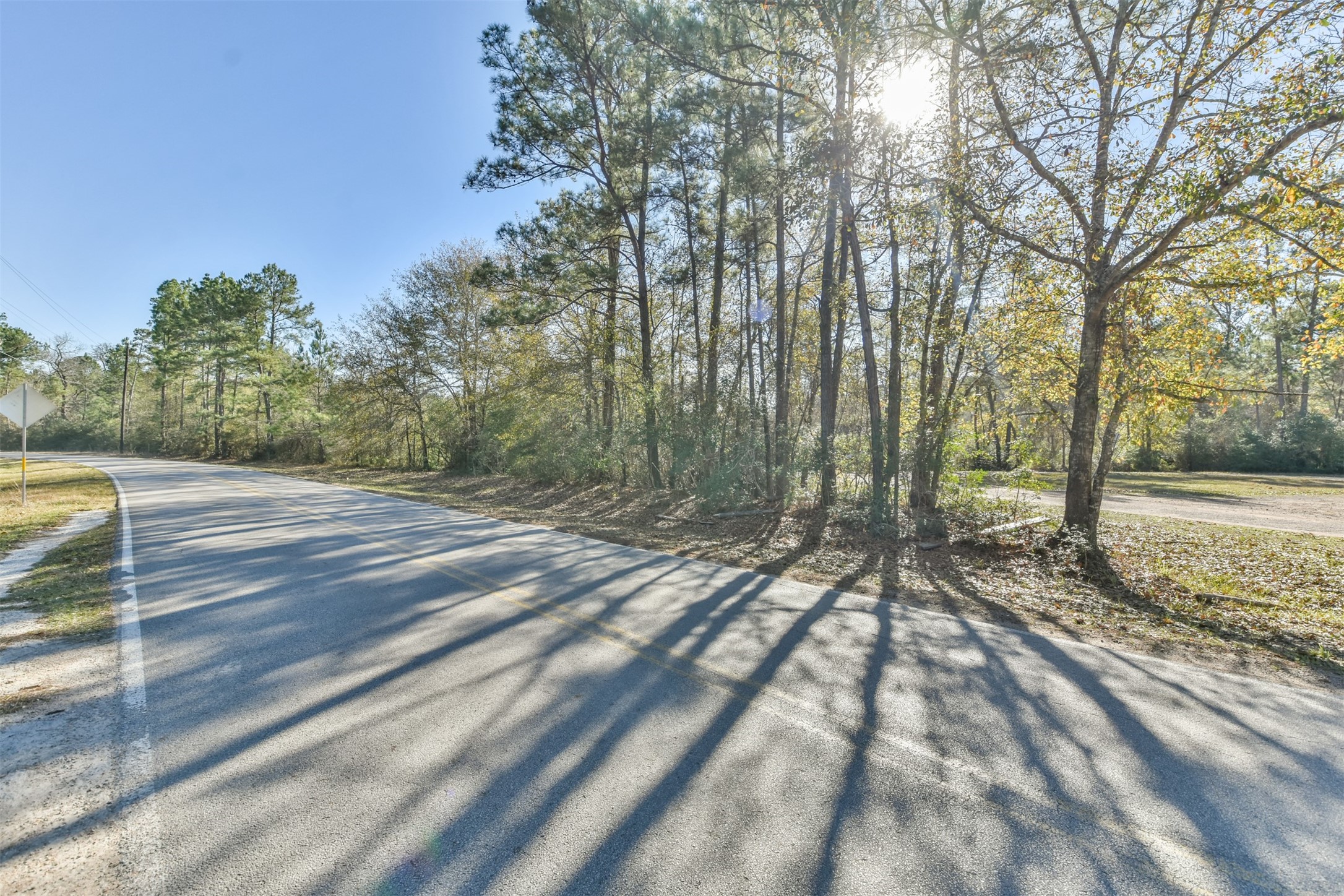 0 Baneberry Road Magnolia, TX 77355 - Photo 11 of 13 a view of a yard with trees in the background