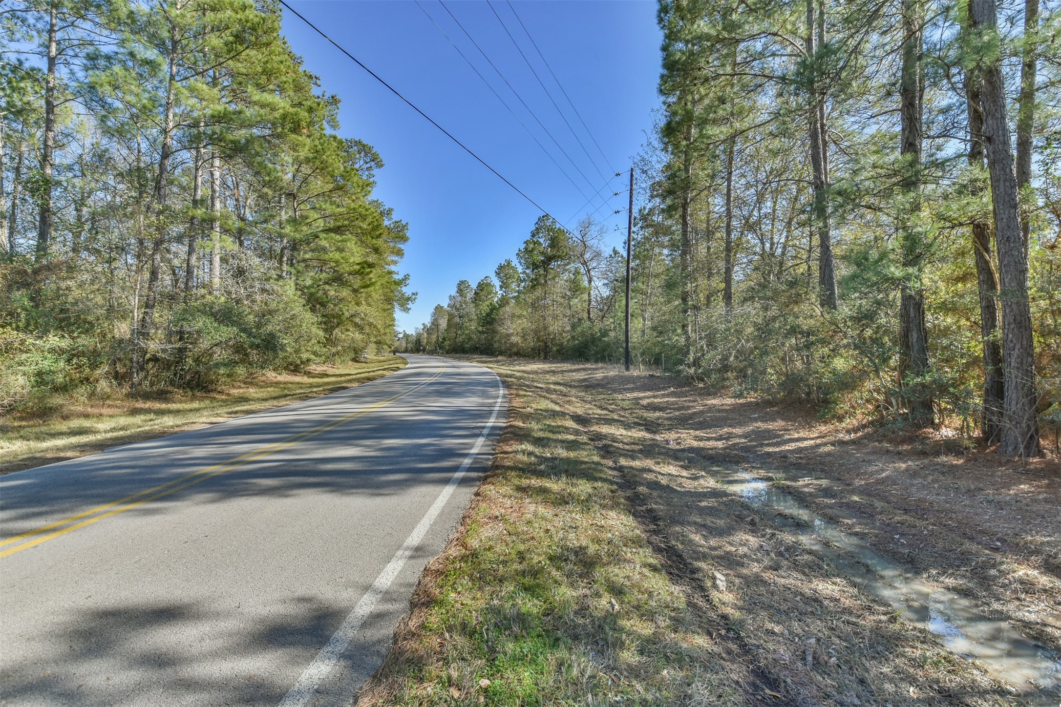 0 Baneberry Road Magnolia, TX 77355 - Photo 12 of 13 a view of a yard