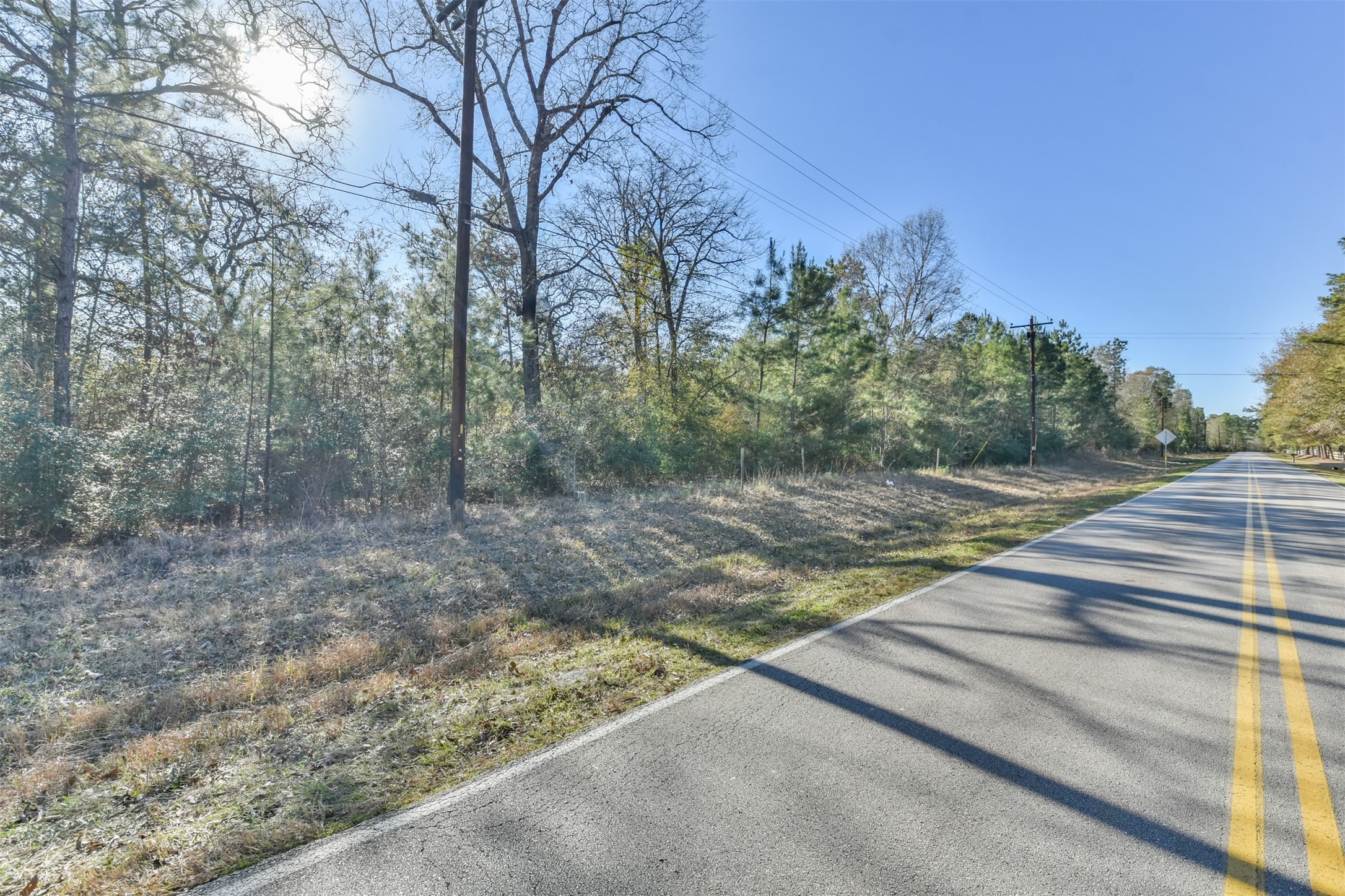 0 Baneberry Road Magnolia, TX 77355 - Photo 13 of 13 a view of a yard with an trees