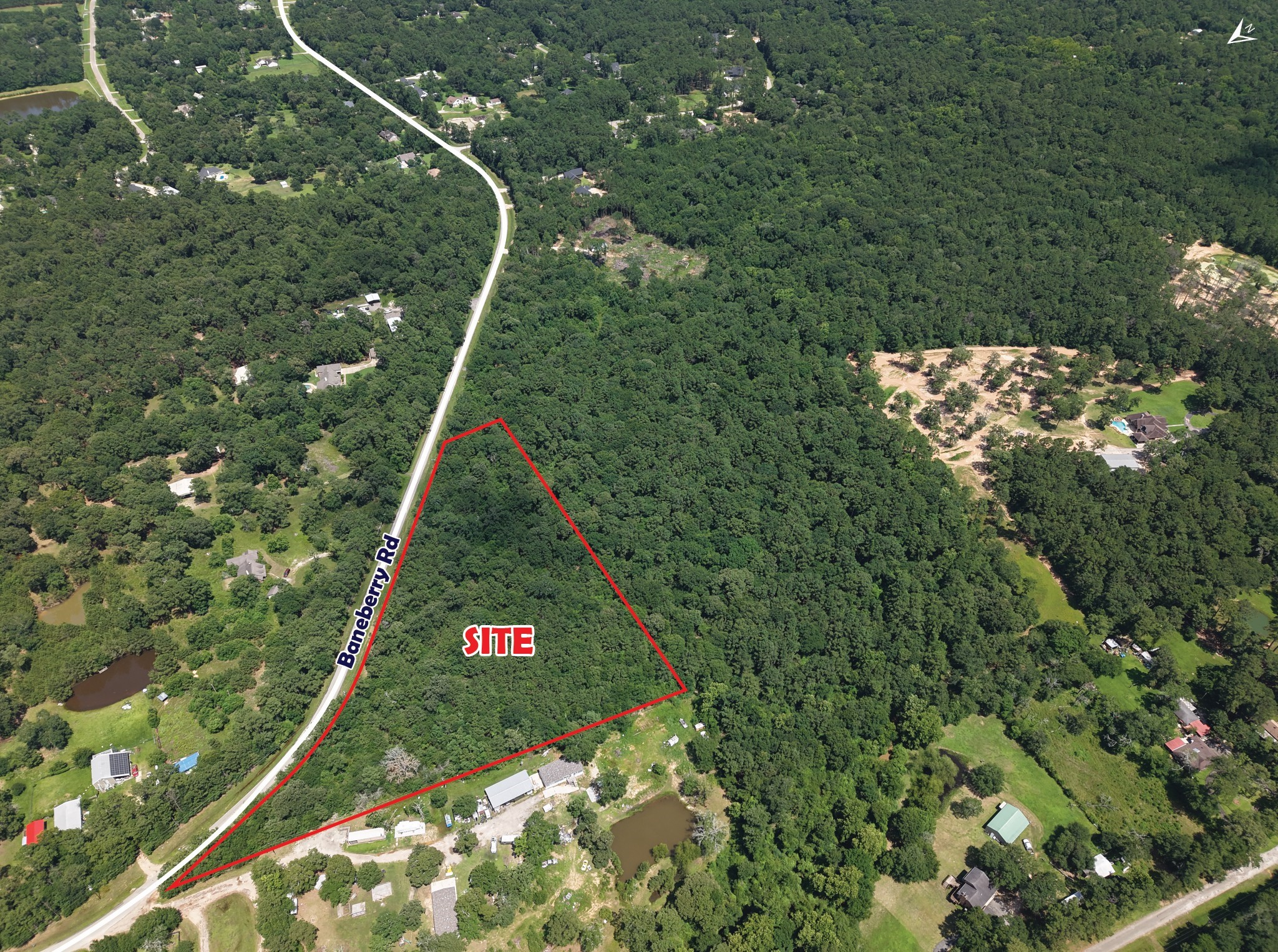 0 Baneberry Road Magnolia, TX 77355 - Photo 3 of 13 a view of a forest