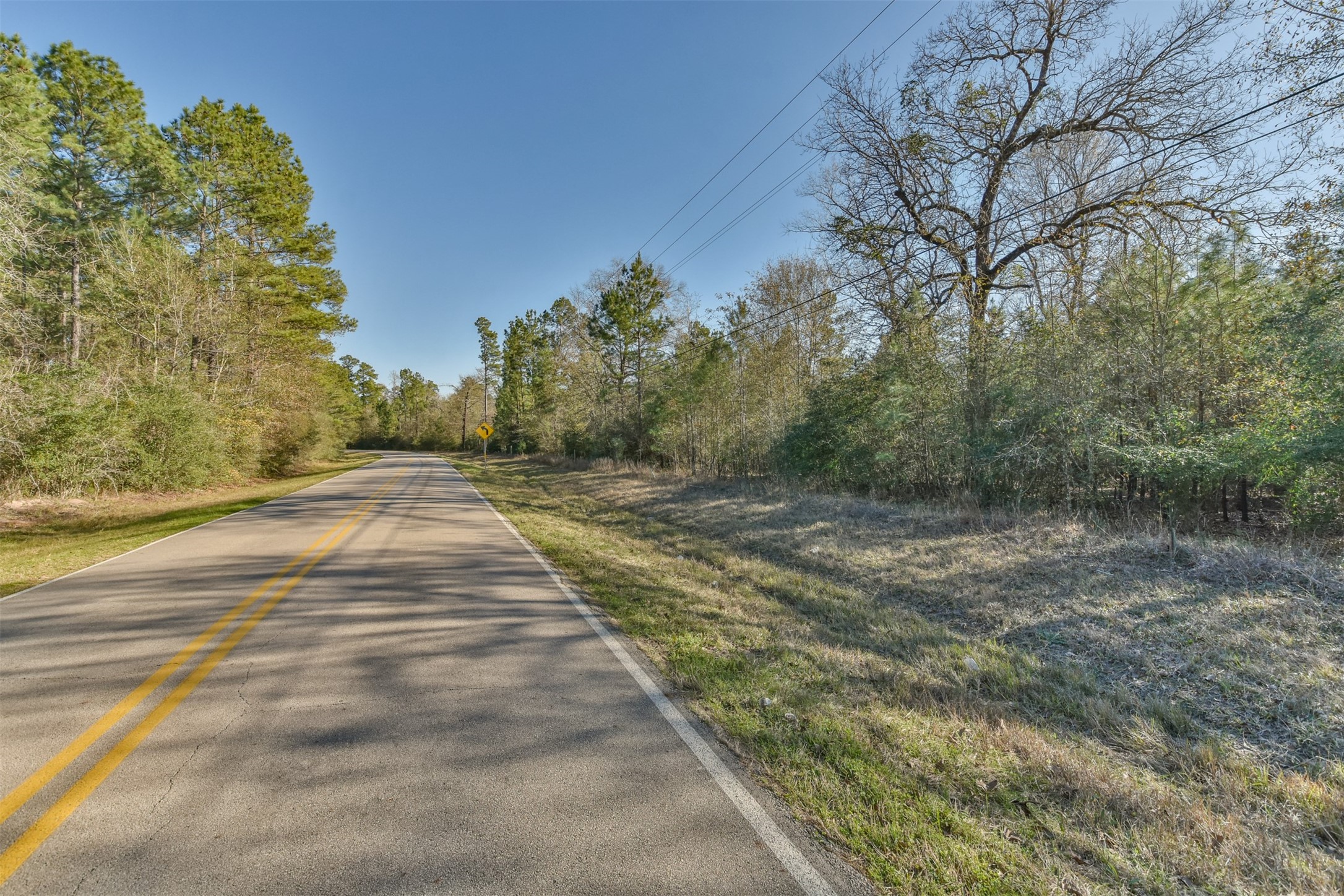 0 Baneberry Road Magnolia, TX 77355 - Photo 4 of 13 a view of backyard with green space