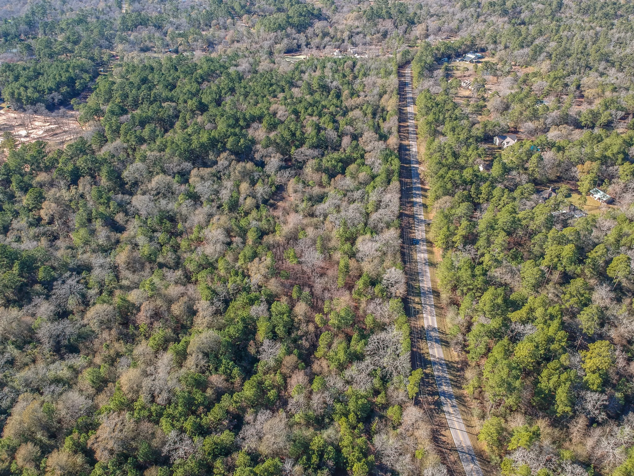 0 Baneberry Road Magnolia, TX 77355 - Photo 7 of 13