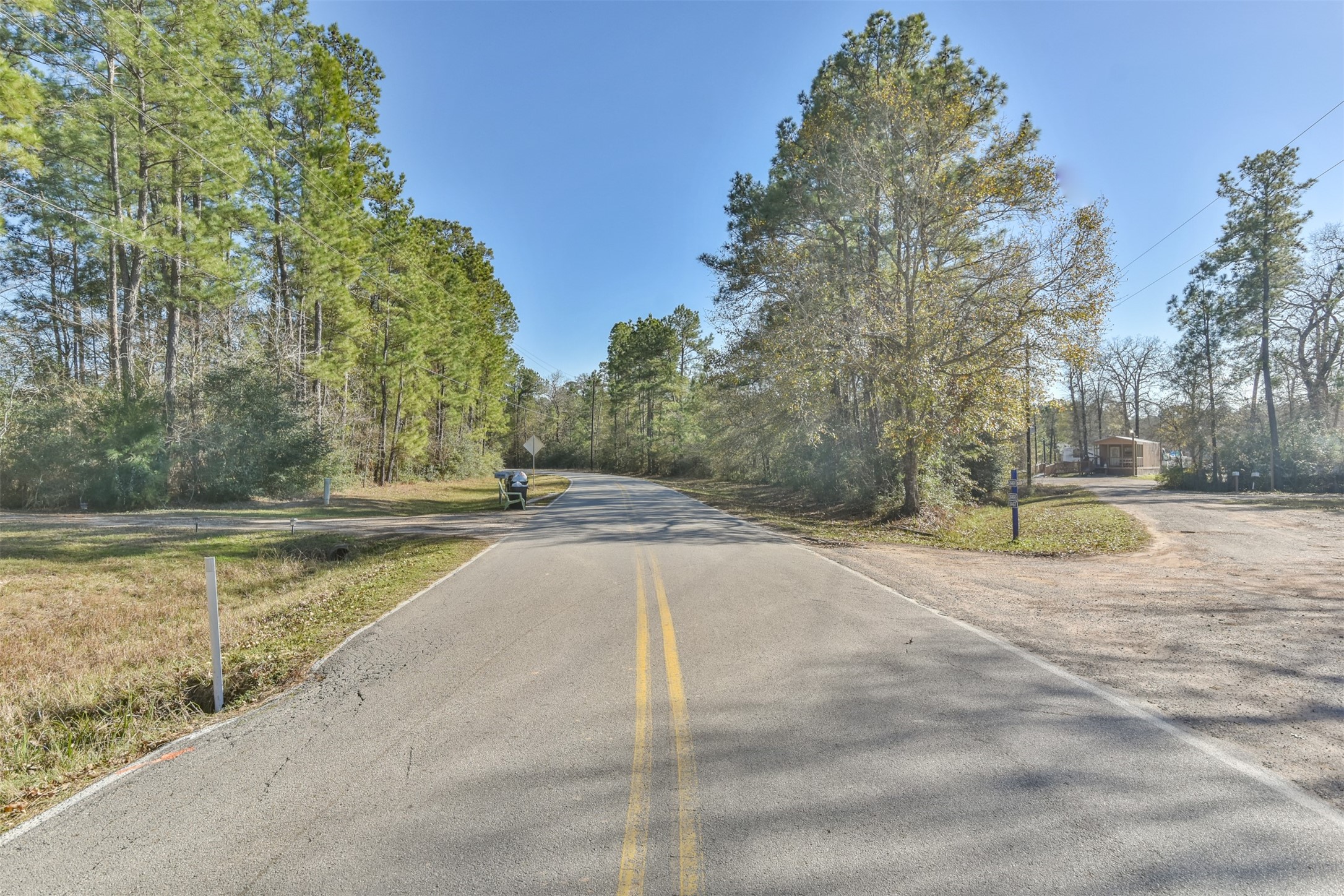 0 Baneberry Road Magnolia, TX 77355 - Photo 9 of 13 a view of a yard with large trees