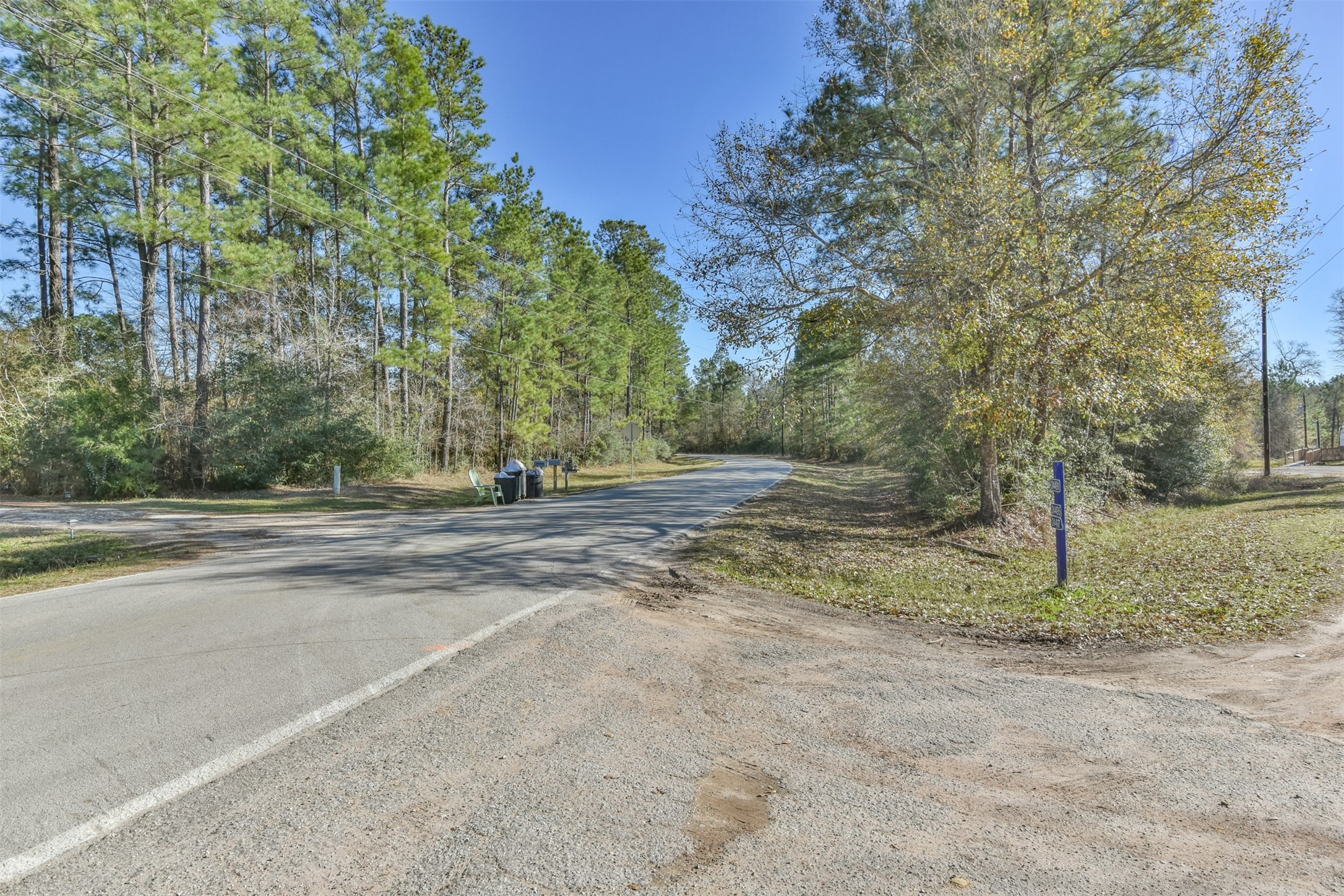 0 Baneberry Road Magnolia, TX 77355 - Photo 10 of 13 a view of a yard with a tree