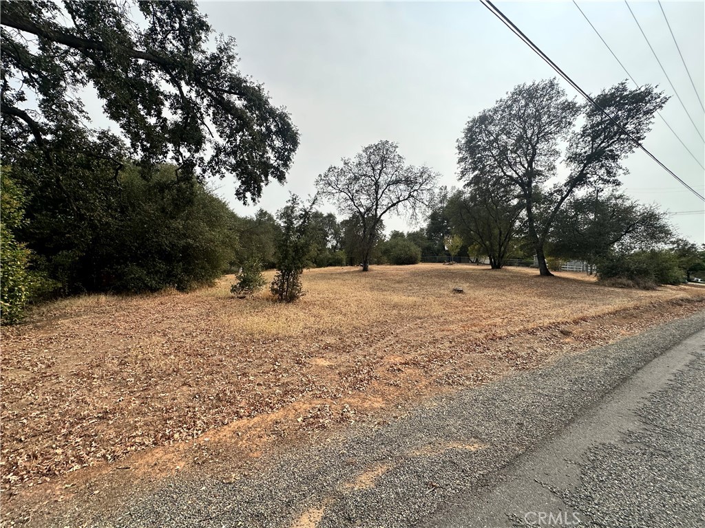 0 Mt Ida Road Oroville, CA 95966 - Photo 6 of 6 Gallery Image 6