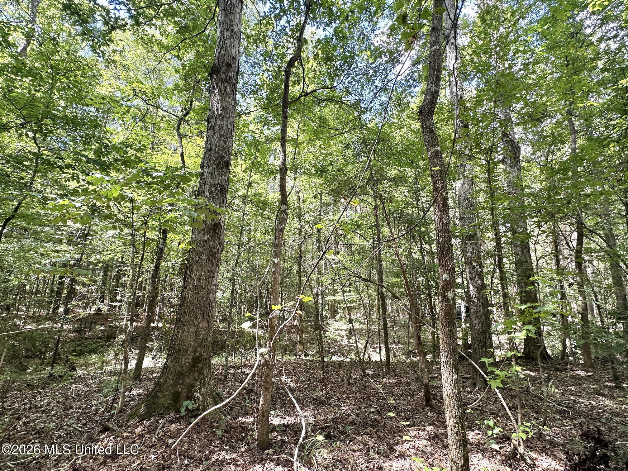 3 Clara Foote Road Braxton, MS 39044 - Photo 14 of 27 33