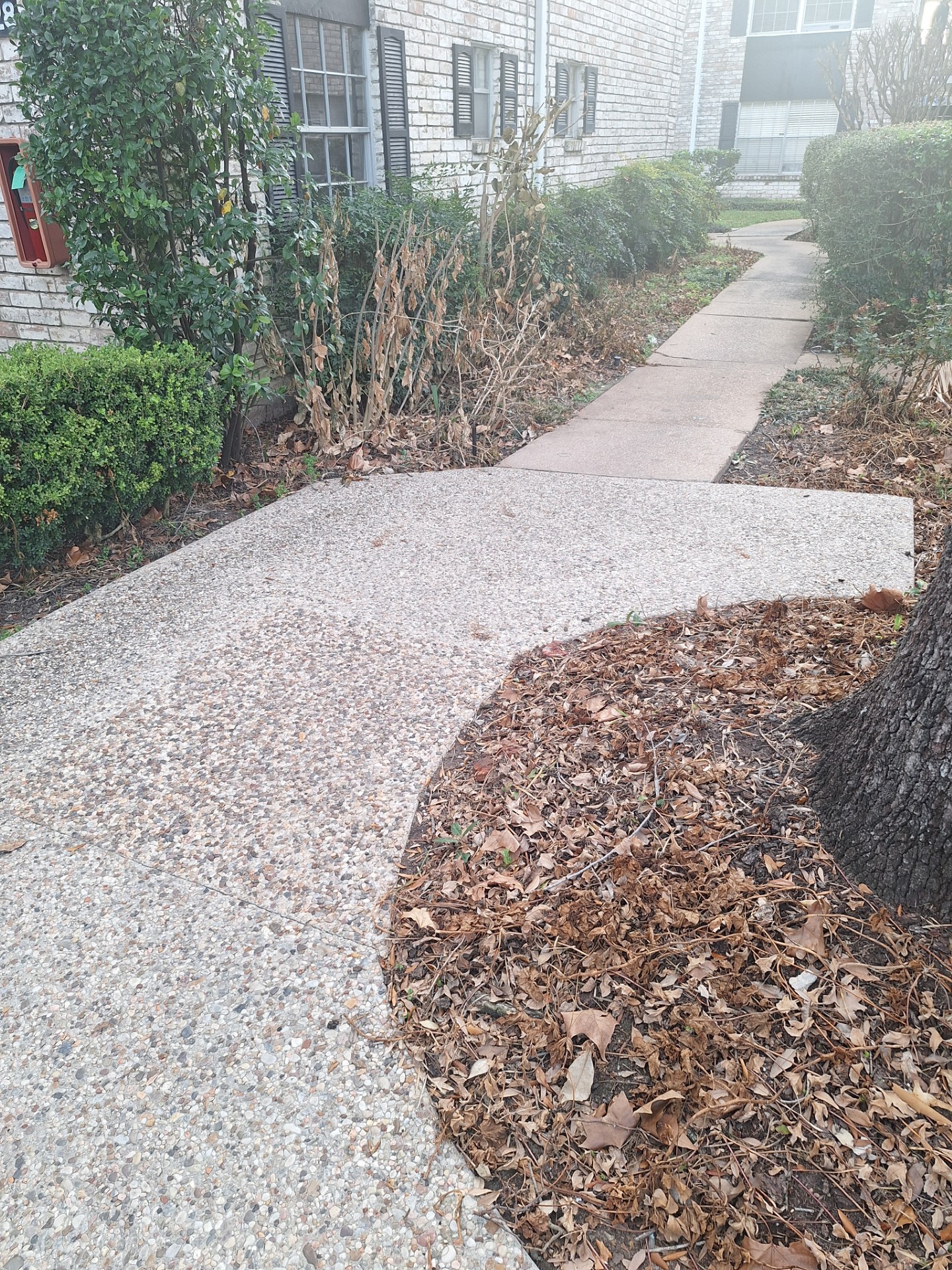 7900 Westheimer Road, Unit 127 Houston, TX 77063 - Photo 12 of 12 a view of a backyard with plants and large trees