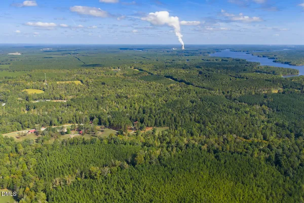 a view of a city with lush green forest