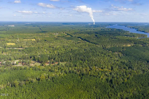 a view of a city with lush green forest
