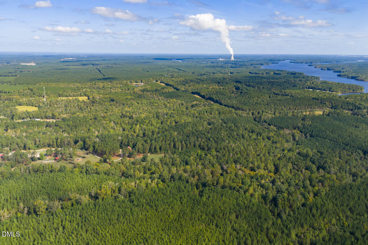262 Ellis Road Moncure, NC 27559 - Photo 18 of 29 a view of a city with lush green forest